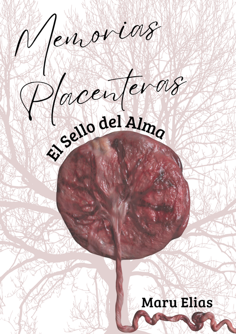 Ebook Memorias Placenteras