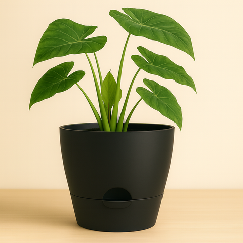 Maceta Autorriego 30 cm – Negra | Diseño moderno y práctico
