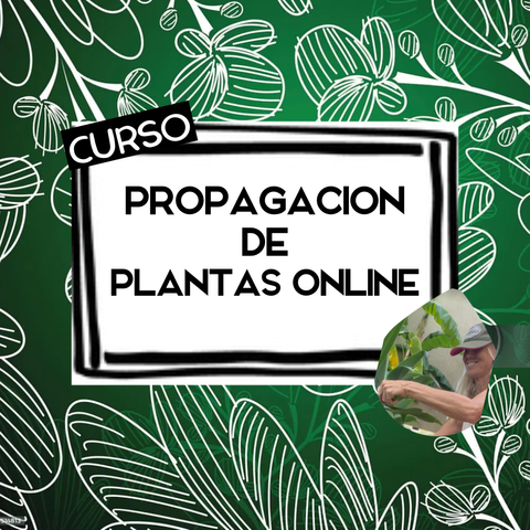 Curso de Propagación de Plantas online