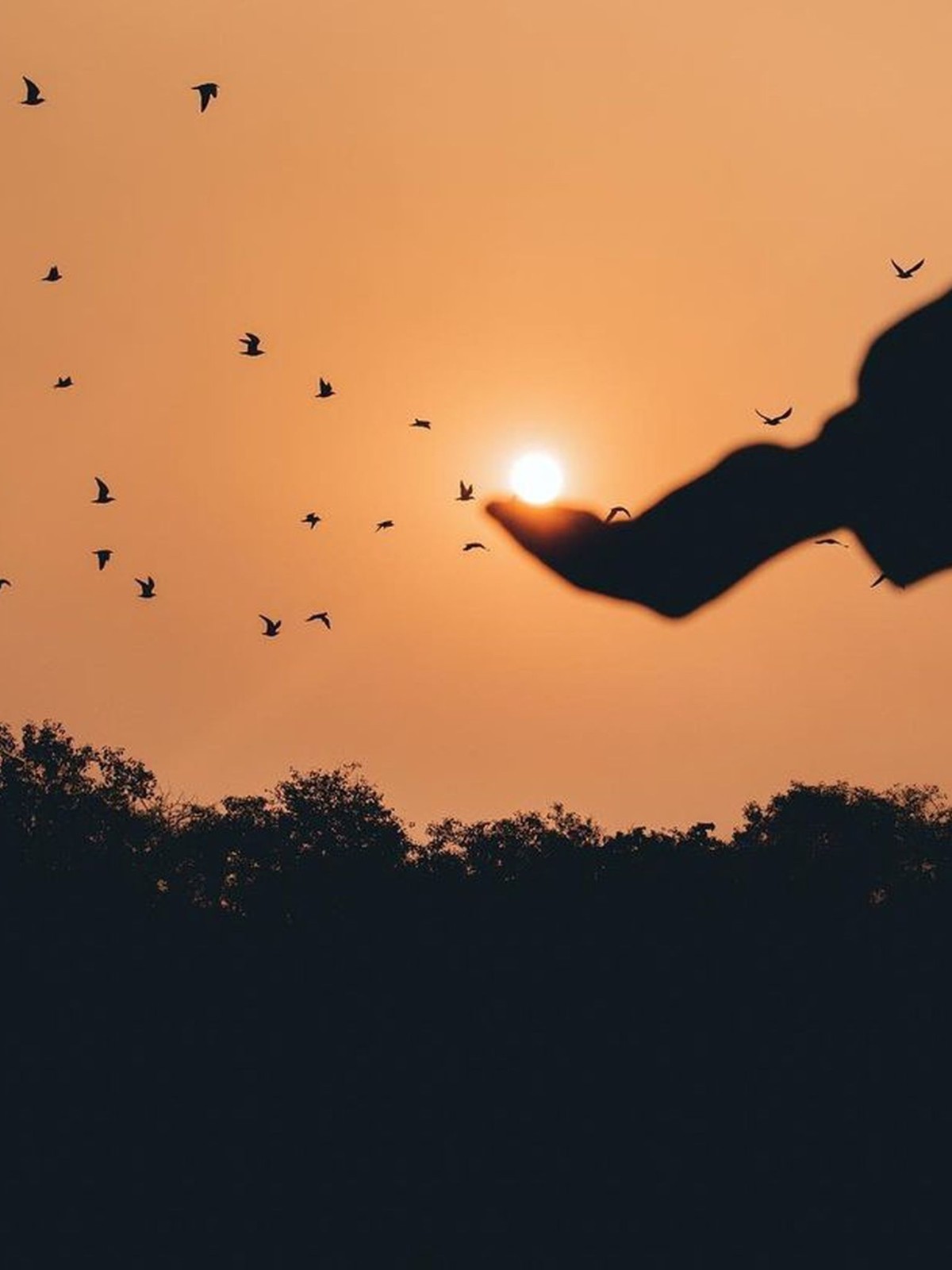 Mujer en proceso de transformación emocional y calma interior