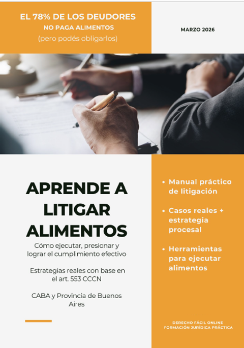 Guía Práctica de Alimentos – Derecho Fácil Online