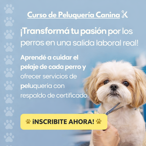 Peluqueria canina