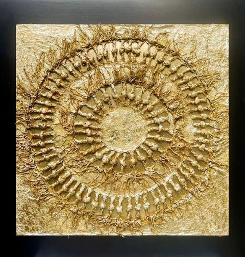 Círculo Experiencia Material