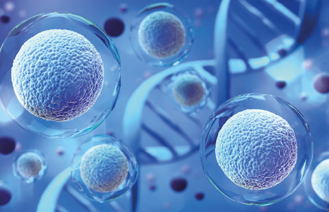 Exosomas: La biotecnología al alcance de la piel