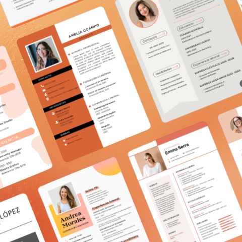 Currículum profesional