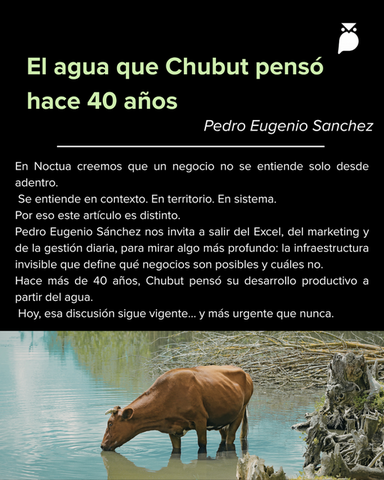 El agua que Chubut pensó hace 40 años