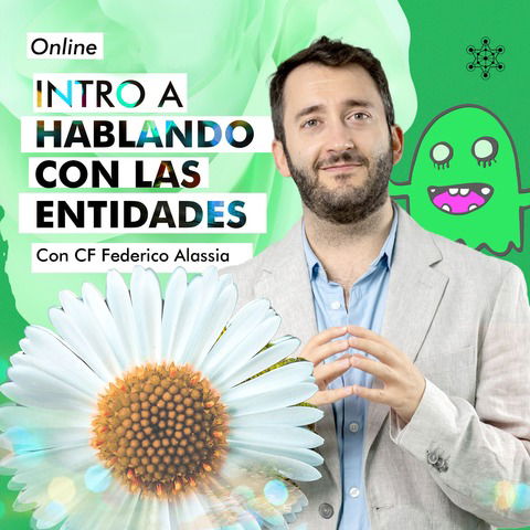 HABLANDO CON LAS ENTIDADES. Introducción / Online