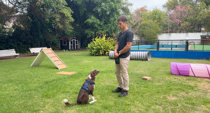 El Manual de Cachorros que me hubiese gustado tener