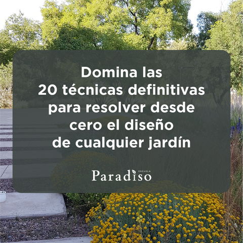 Las 20 Tácticas para el Diseño de Jardines 