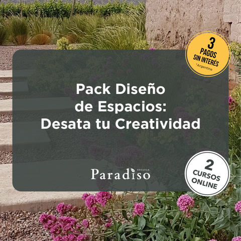 Pack Diseño