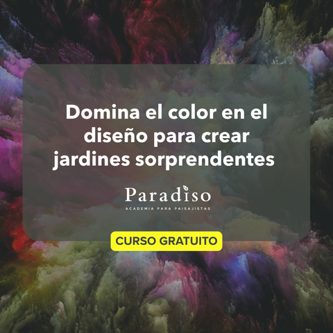 Color PRO
