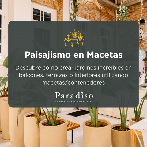 Paisajismo en Macetas