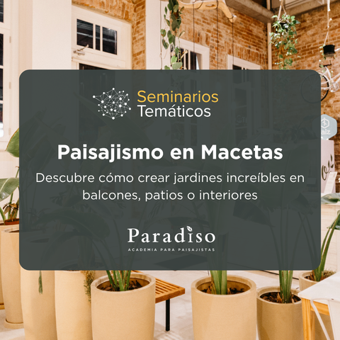 Paisajismo en Macetas