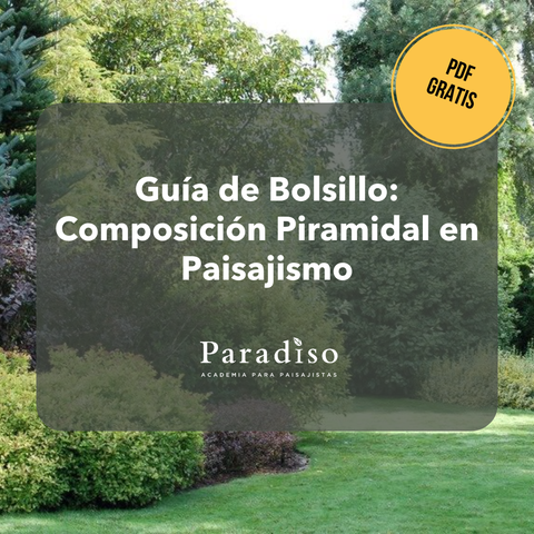 Guía Práctica de Composición Piramidal en Paisajismo