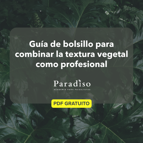 Guía práctica para utilizar la textura vegetal en diseño de jardines
