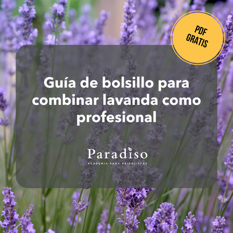 Guía - Combinaciones inteligentes con lavanda