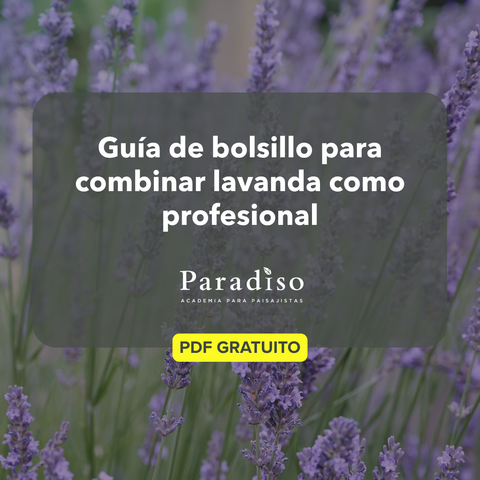 Guía - Combinaciones inteligentes con lavanda