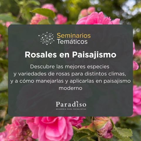 Seminario: Rosales en Paisajismo