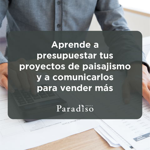 Presupuestos y Mentalidad Financiera 