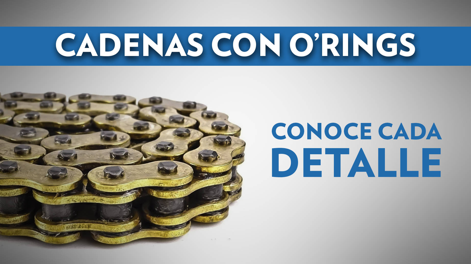 Lucidatura Dentale Dischi Shofu L521 Super-Snap Per Finitura E Lucidatura - Lato Rosso Sicuro, Confezione Da 50 Dischi Shofu Super-Snap - Foto 2