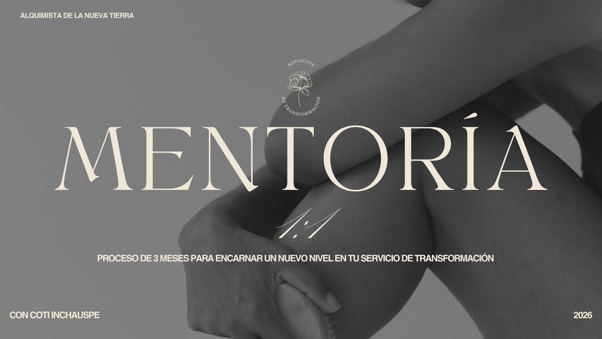Mentoría 1:1 