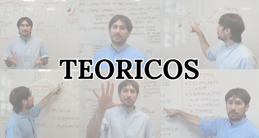 TEORICOS