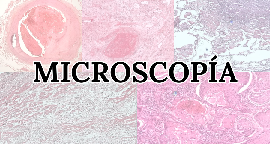 MICROSCOPIA