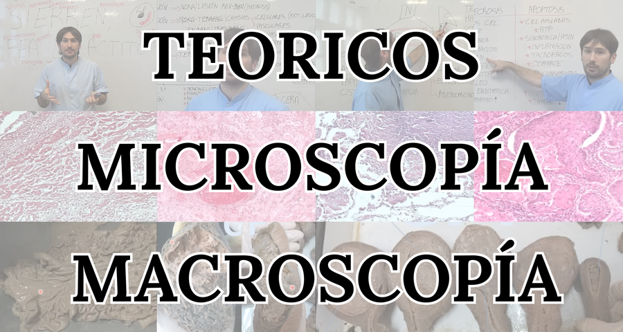 TEORICOS+MICROSCOPIA+MACROSCOPIA