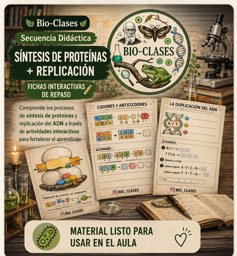 Bio-Clase: Fichas de Repaso: Replicación del ADN + Síntesis de Proteínas🧬✨