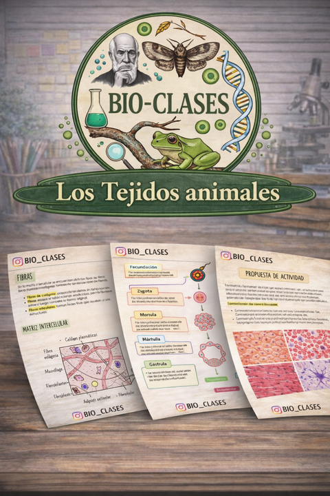 Bio-Clases: Los Tejidos Animales 🙌🙌