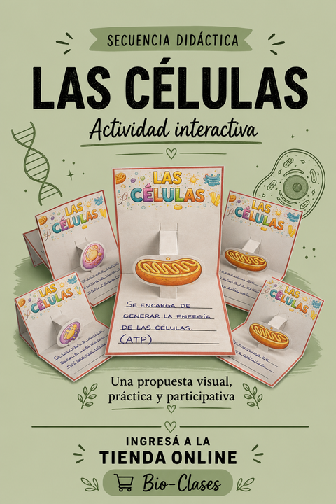 Bio-Clase: Actividad Interactiva de Organelos + Ficha de repaso 🧫✨