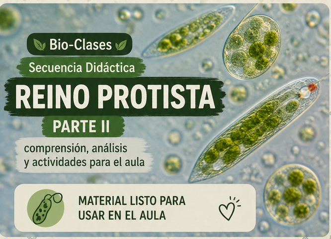 Bio-Clase: Reinos Parte II (Protozoo y Algas)📝👩🏼‍🏫