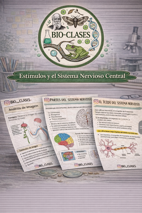Bio-Clase Estímulos y El Sistema Nervioso Central(+ FICHAS DE REFLEJOS)🧠 