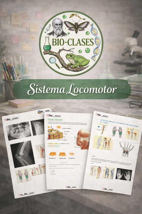 Bio-Clase: Locomotor 🦴🦴
