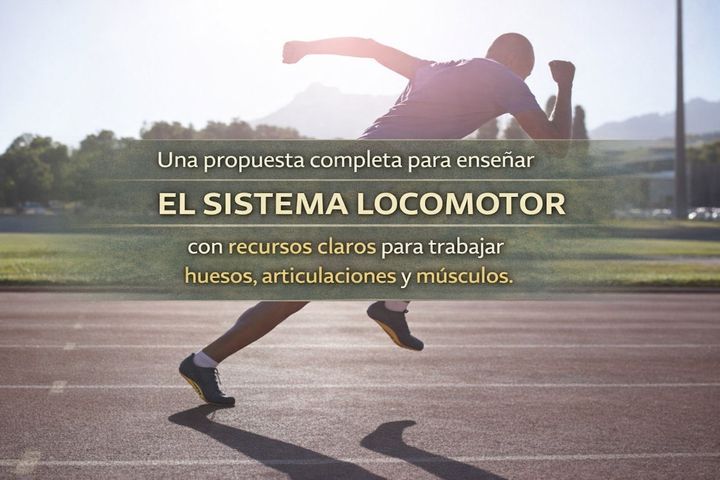 Bio-Clase: Locomotor🦴💕
