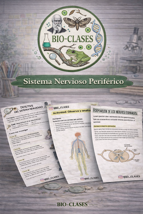 Bio-Clase: Sistema nervioso Periférico🧠🧠