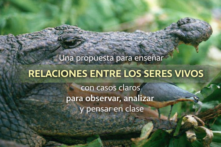 Bio-Clases: Relaciones entre los seres vivos🌿