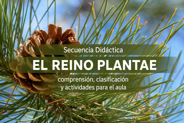 Bio-Clase: El Reino de las Plantas (Reinos parte V)🌿🌿
