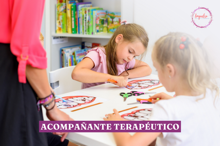 ACOMPAÑANTE TERAPÉUTICO