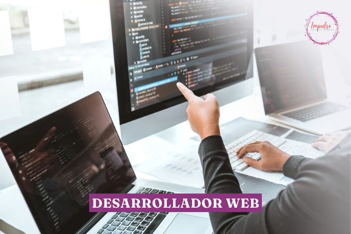 DESARROLLADOR WEB