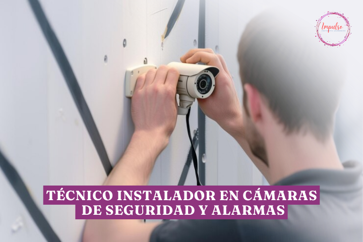 CÁMARAS IP (INSTALADOR DE CÁMARAS DE SEGURIDAD Y ALARMAS)