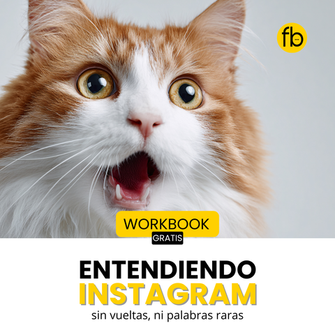PDF del WorkBook: Entendiendo Instagram, sin vueltas.