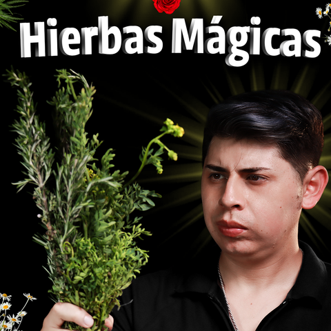 Curso de Hierbas Mágicas