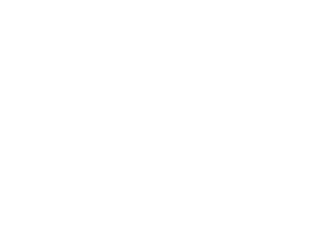 Ser en Plenitud 