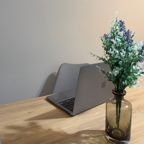 Plan Balanced (Primera consulta + 4 controles)