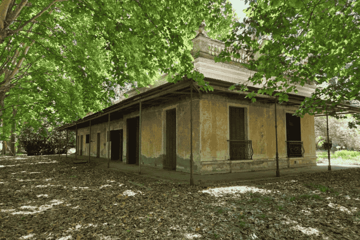 VASCO DA GAMA 100 - PILAR - CAMPO 21.8 HAS