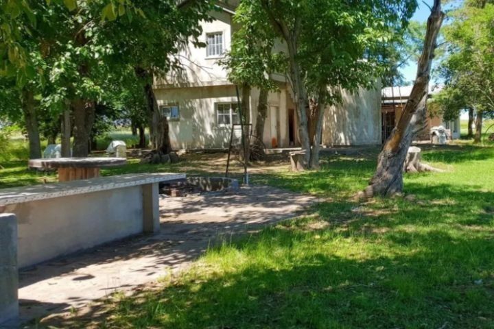 RP41 KM 315, BARADERO - CAMPO 78 HAS