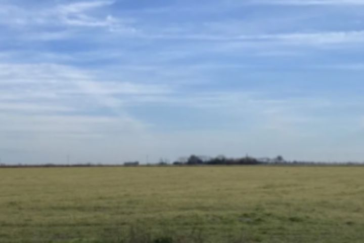 PÉREZ MILLÁN RAMALLO - GRANJA 25 HAS