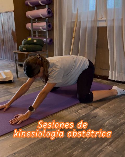 Sesiones de kinesiología obstétrica