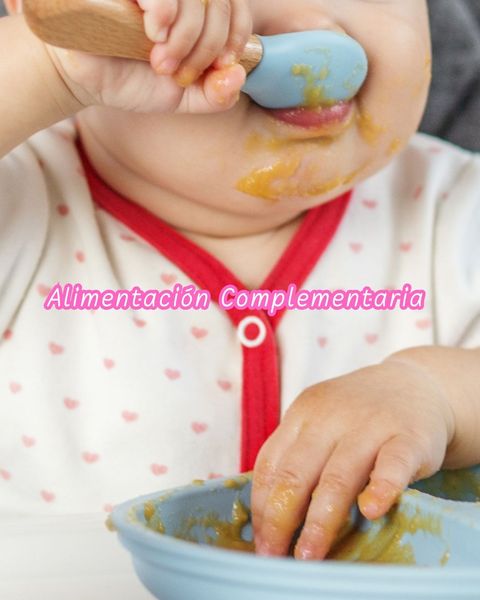 Alimentación Complementaria